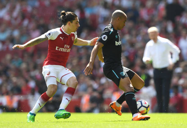 拜仁似乎从 拜仁似乎从