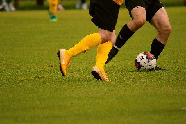 在搏击赛场 在搏击赛场