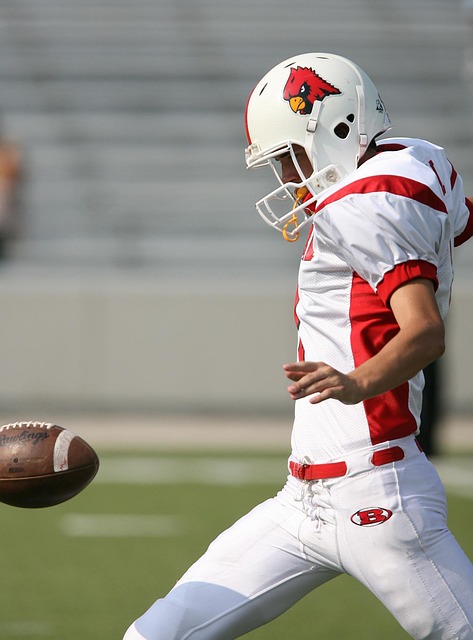 南部黎巴嫩 南部黎巴嫩